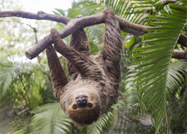 YOURTIME Embodiment Coaching Salzburg