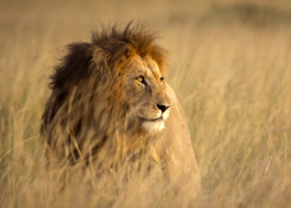 YOURTIME Embodiment Coaching Salzburg